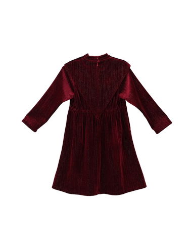 Leila dress (garnet velvet)